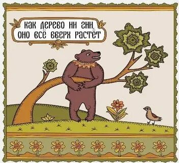 Ни дерево