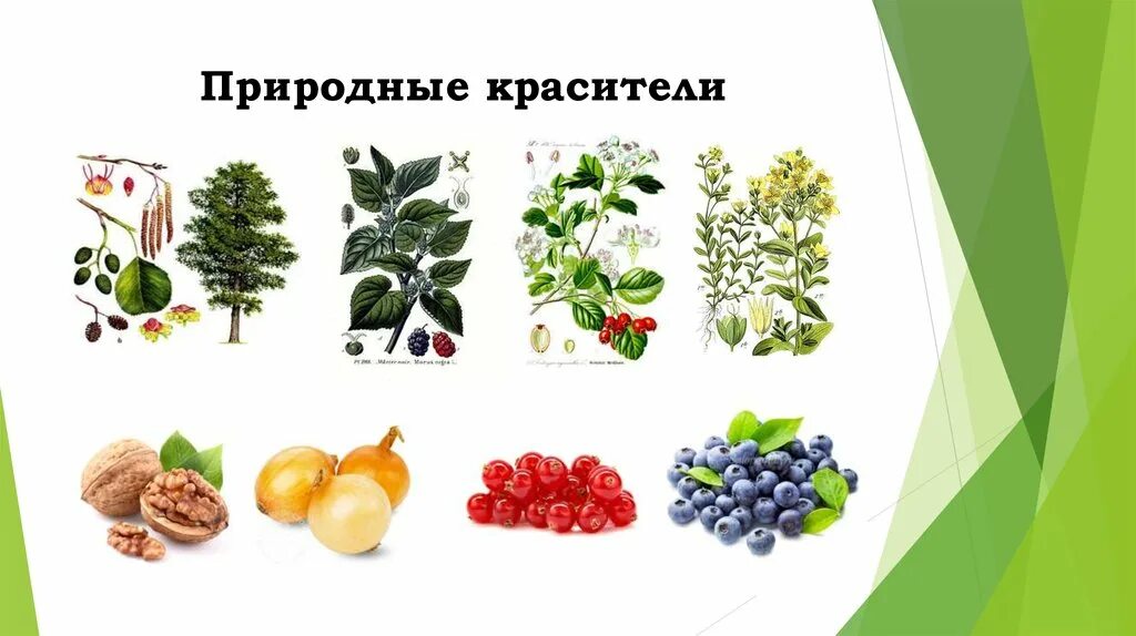 Натуральные природные красители. Натуральные (природные) красители классификация. Синтетические пигменты. Природные красители химия. Химическая формула пигментов.