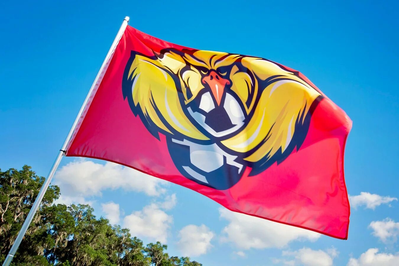 Знамя спорта. Спортивные флаги. Флаг спортивного клуба. Флаг спортивной команды. Флаги спортивных организаций.