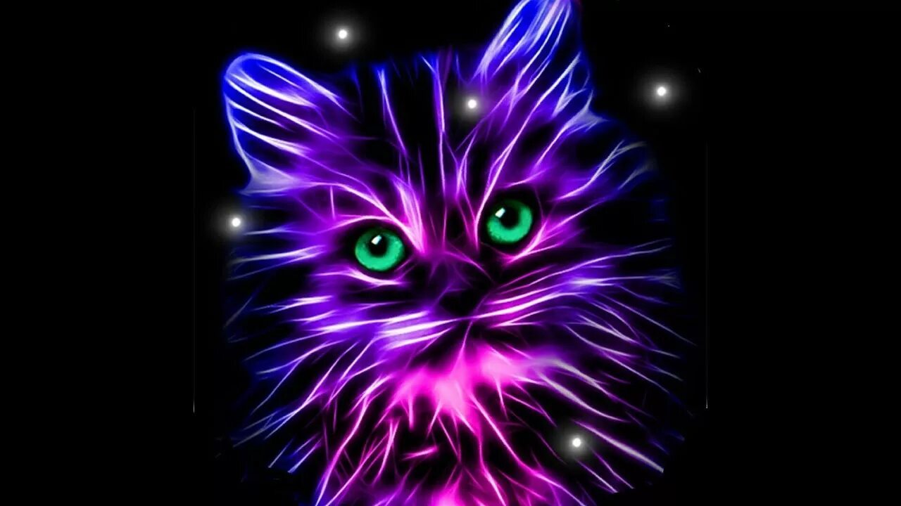 Neon cat