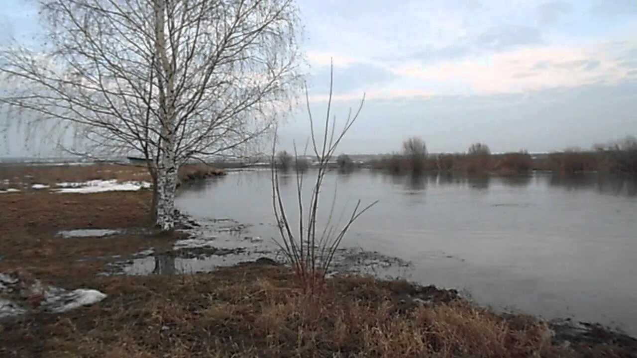 Залитая в половодье. Половодье выбуты псков. половодье на реке чепца. дьяковка половодье. половодье в глазове.