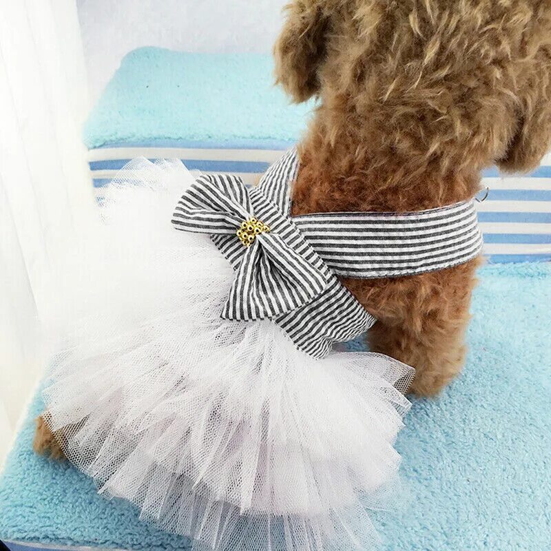 Пачка для собак. Платье для собак. Собака в юбочке. Собачка в платье. Красивые платья для собак.