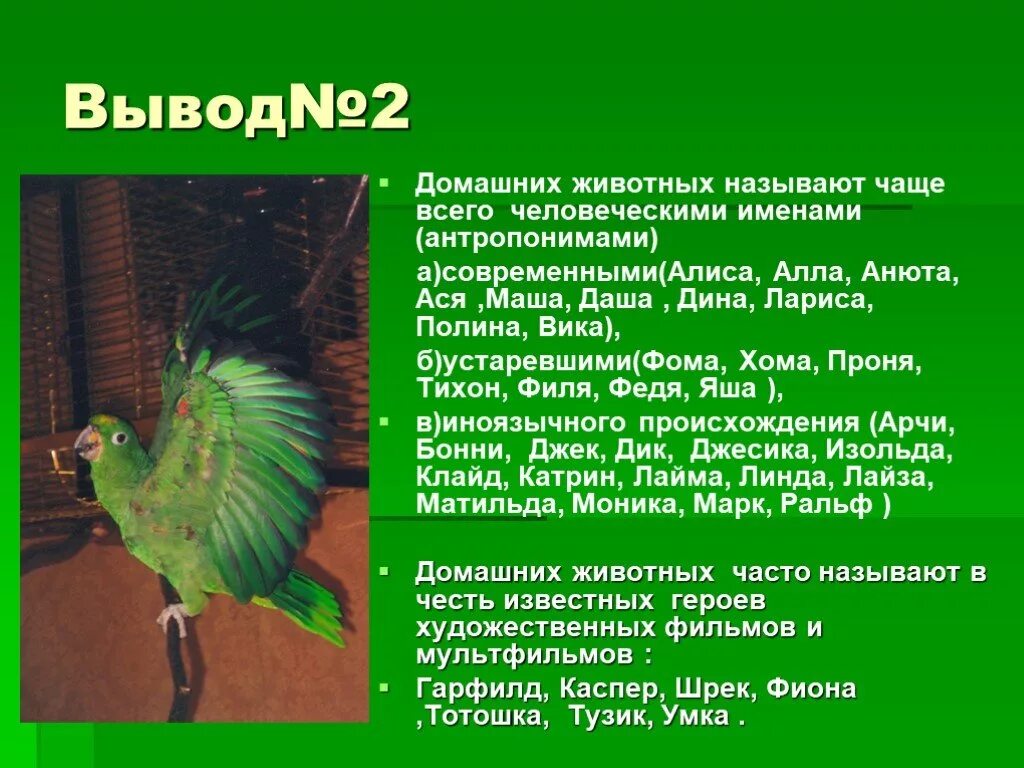 Зоонимы это определение. Зоонимы в английском. Презентация зоонимы. Зоонимика темы для презентаций. Русские зоонимы