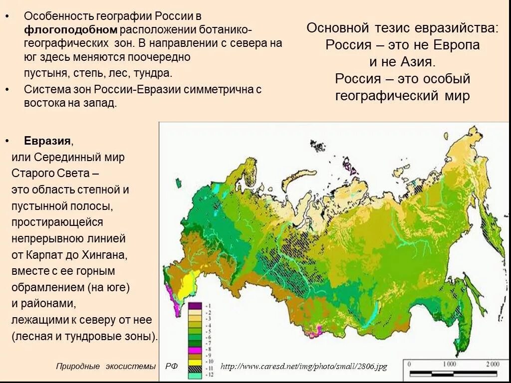 Территориальные особенности размещения населения россии. Ботанико-географическое районирование. Географические особенности России. География России презентация. Тезисы России географии.