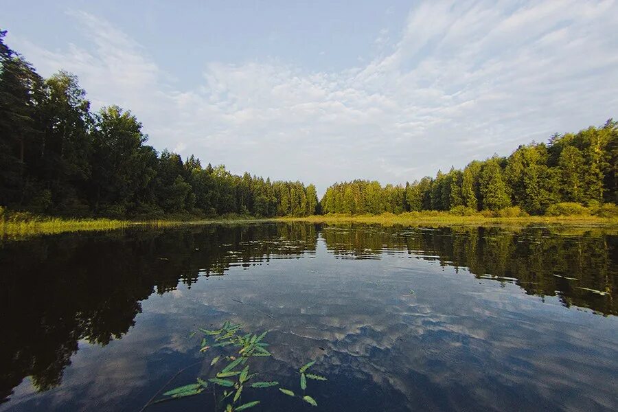 Истра озеро. Истра водохранилище пляж. Пляж ламишино истринское водохранилище. Деревня пятница истринское водохранилище. Истринское водохранилище река.