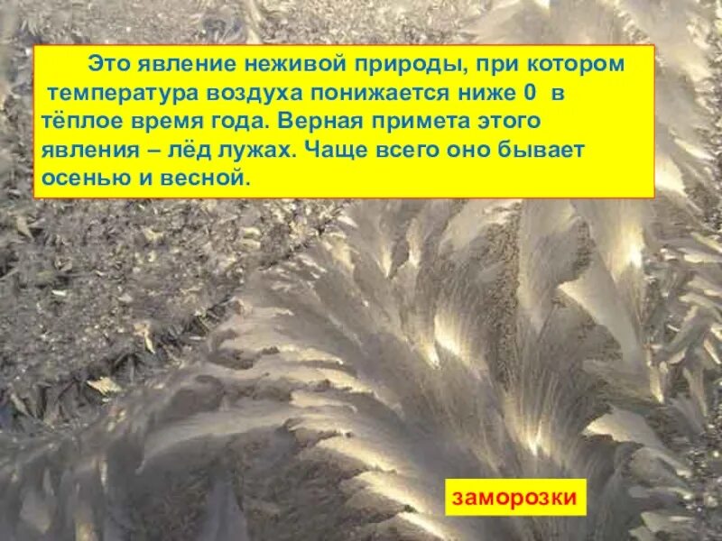 Название месяцев с явлением неживой природы. Названия месяцев связанные с явлениями неживой природы. Названия весенних месяцев связанных с явлениями неживой природы. Явление лета в неживой природе.