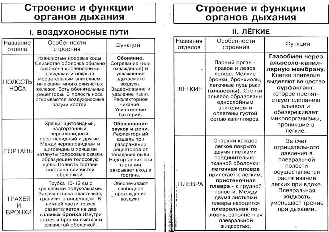 Системы органов человека состав и функции. Таблица по биологии 8 класс органы дыхания строение и функции. Органы дыхания. Таблица/ органы/ особенности строения/ функции.. Таблица по биологии строение и функции дыхательной системы. Таблица по биологии 8 класс органы дыхания орган строение функция.