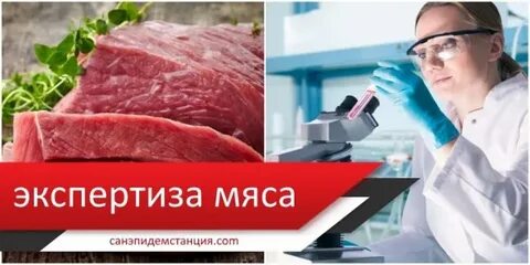 Вет экспертиза мяса