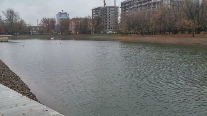 Парк красногвардейские пруды и красная пресня в москве. Нижний красногвардейский пруд как добраться. Нижний красногвардейский пруд. Красногвардейские пруды амфитеатр. Парк «красная пресня» — красногвардейские пруды (нижний пруд).
