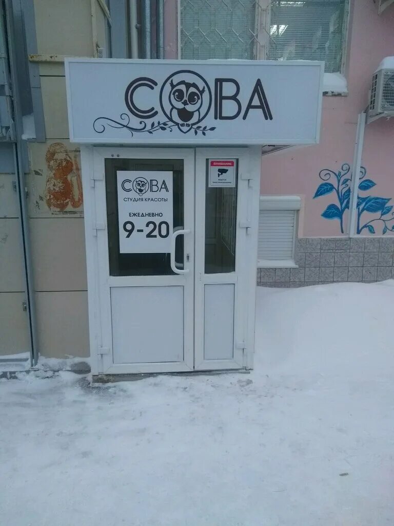 совенок чебоксары