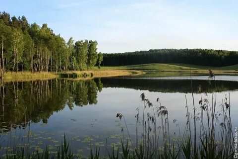 Поселок шапки