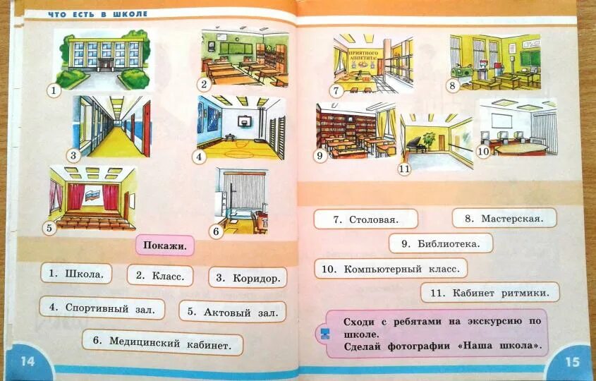 Адаптированная программа 2 класс окружающий природный мир. Окружающий мир адаптированная программа. первый дополнительный класс.