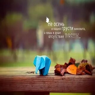 Не осень в нашей грусти виновата