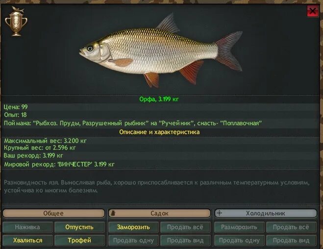 рыба орфа на что клюет. реальная рыбалка орфа лесное озеро. реальная рыбалка орфа лесное озеро. реальная рыбалка орфа лесное озеро. золотая орфа рыба.