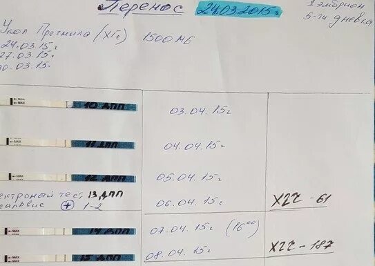 Что происходит с эмбрионом после переноса. 8 день после переноса эмбрионов. 8 день после подсадки эмбриона. эмбрионы 8 дней беременности после переноса. тесты после подсадки.