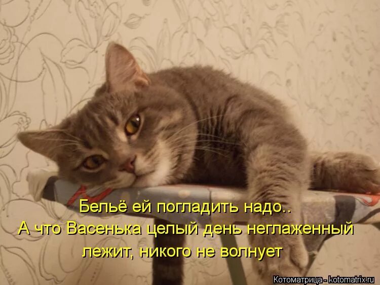 Хватит целый день