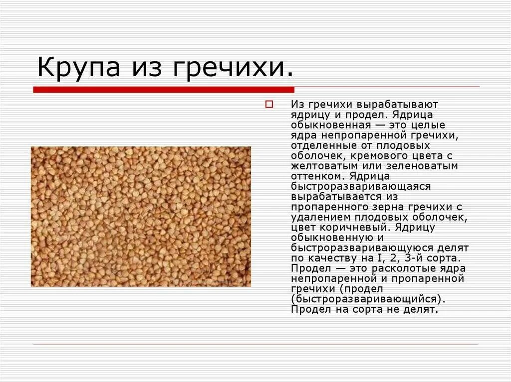 По рисунку определите средний размер зерна гречки