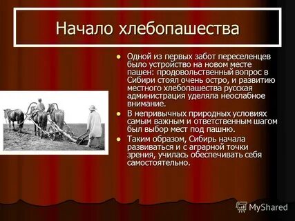 Первые заботы