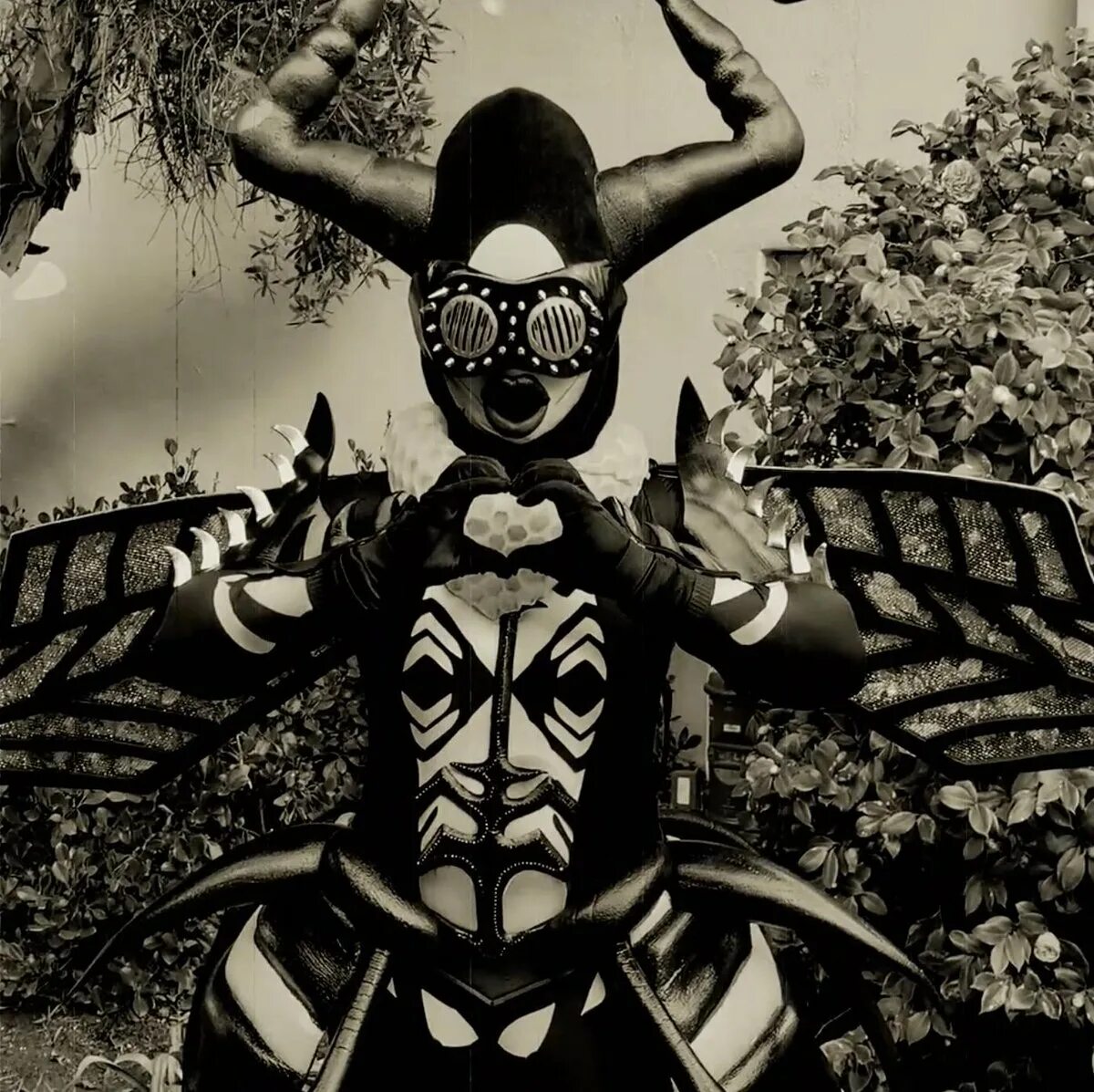 Masked like. The masked singer butterfly. пчела зе маскед сингер. ве маскед сингер горох. зе маскед сингер германия богатырь.