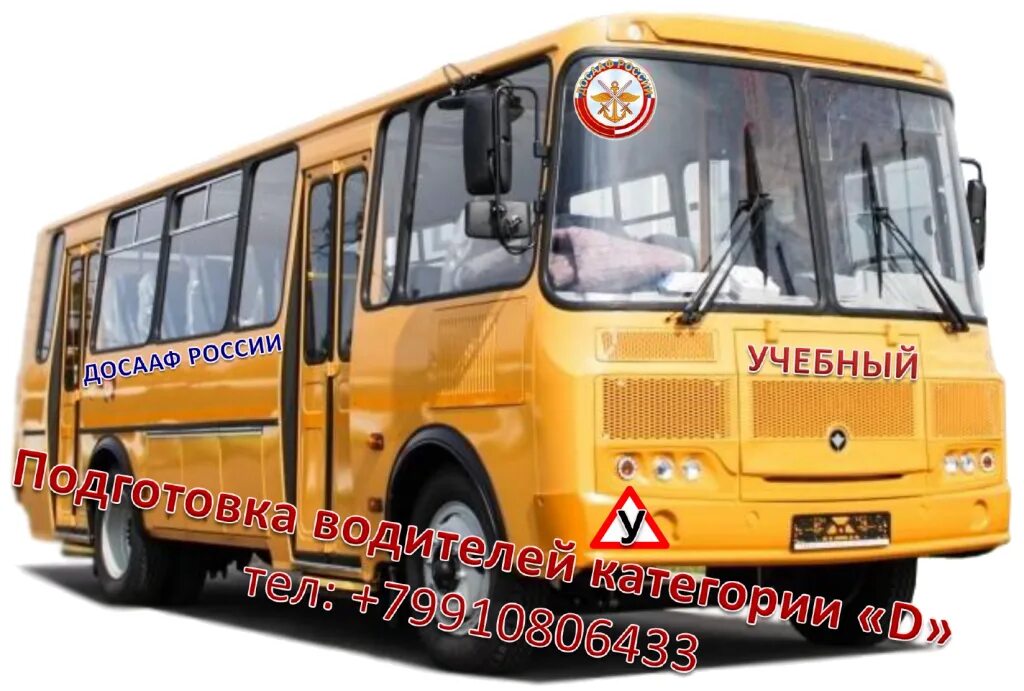 Стекло автобуса паз. ПАЗ 423470-04 школьный автобус. ПАЗ-423470 школьный. ПАЗ 4234 школьный автобус. ПАЗ 4234-70 школьный.