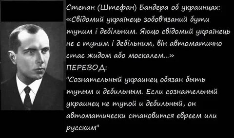 Скажи степаны
