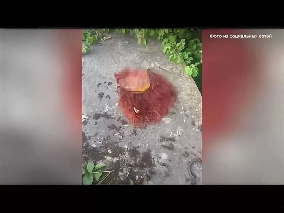 Каннибалы из краснодара фото Кубанские каннибалы 20 лет делали из людей консервы Владимир Гавриков КОНТ