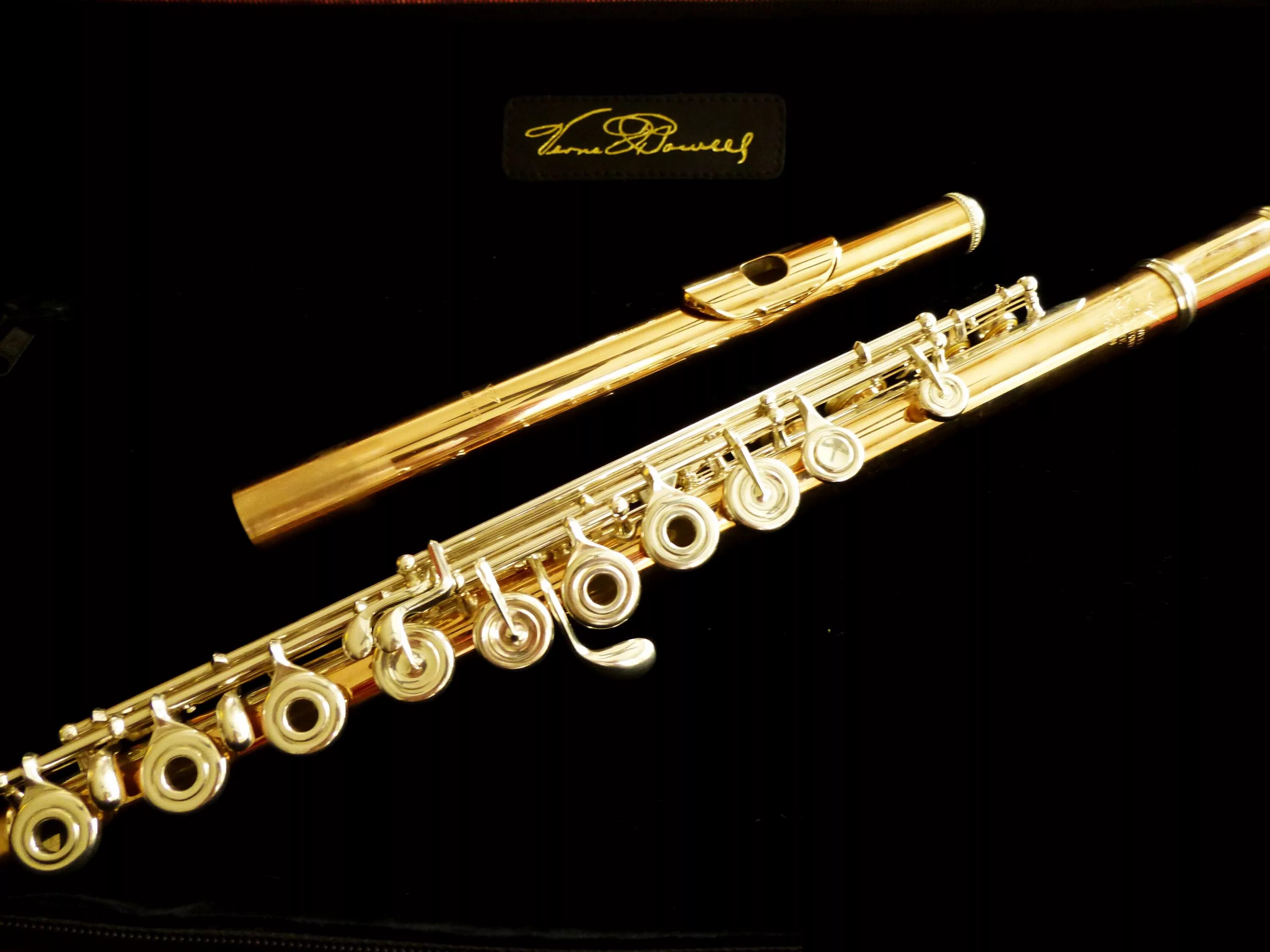 Золотая флейта россии. Powell Aurumite. Золотая флейта. Золотая флейта Powell. Платиновая флейта Powel в мире.