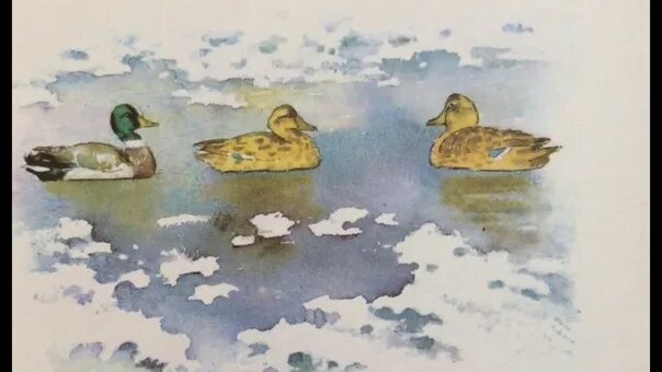 Виталий бианки сентябрь. Октябрь листопад грязник зазимник бианки. Виталий бианки октябрь. Факты о бианки. Синичкин календарь бианки иллюстрации ноябрь.