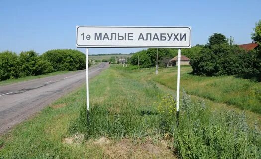 Малые алабухи 1-е воронежская область. Малые алабухи 1-е воронежская область. Село малая алабуха. Малые алабухи 2-е воронежская область. Малые алабухи 2-е.