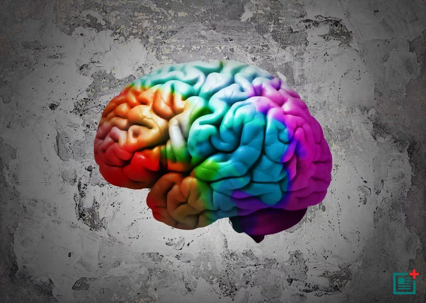 Мозги е. Цветной мозг. Мозг в цветах. Дизайнерский мозг.