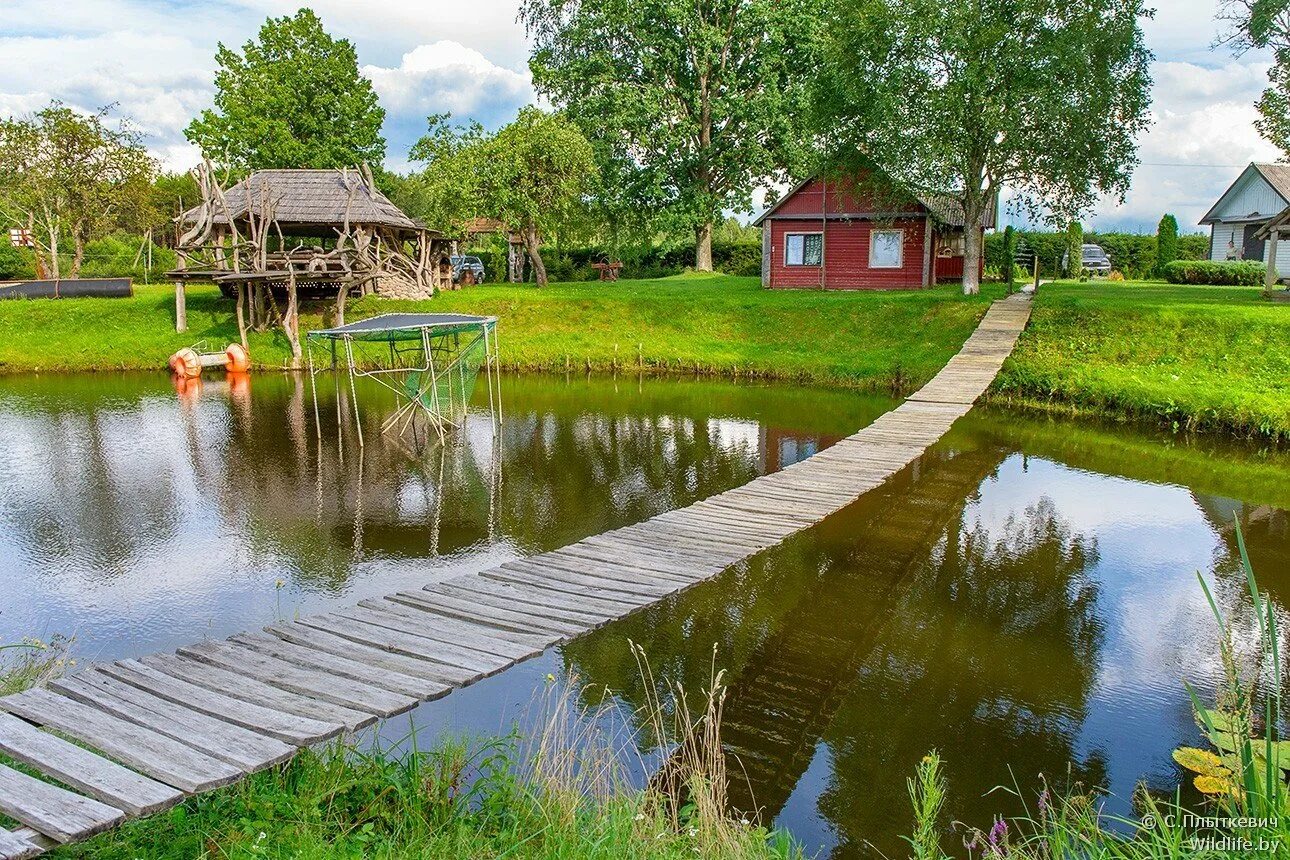 Про белорусскую деревню
