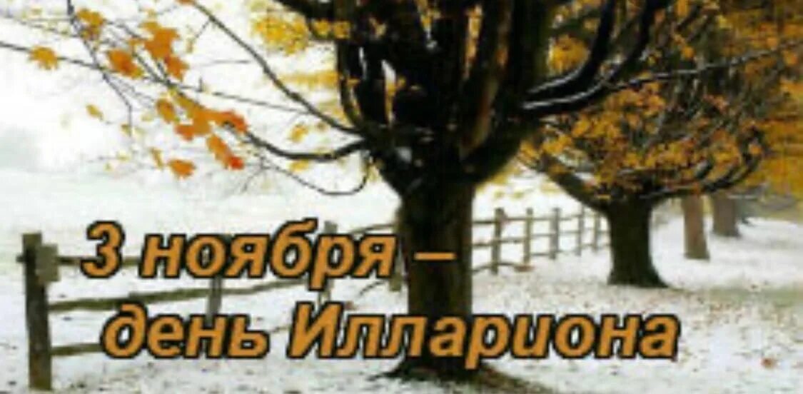 3 Ноября день. 3 Ноября народный календарь. Илларионов день 3 ноября. 3 Ноября приметы. Слова 3 ноября