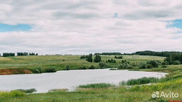 Озеро пермяки. Голубое озеро пермский край чусовая разрез. Озеро пермяки. Пермяки казань. Озеро пермяки высокая гора.