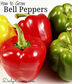Well peppers