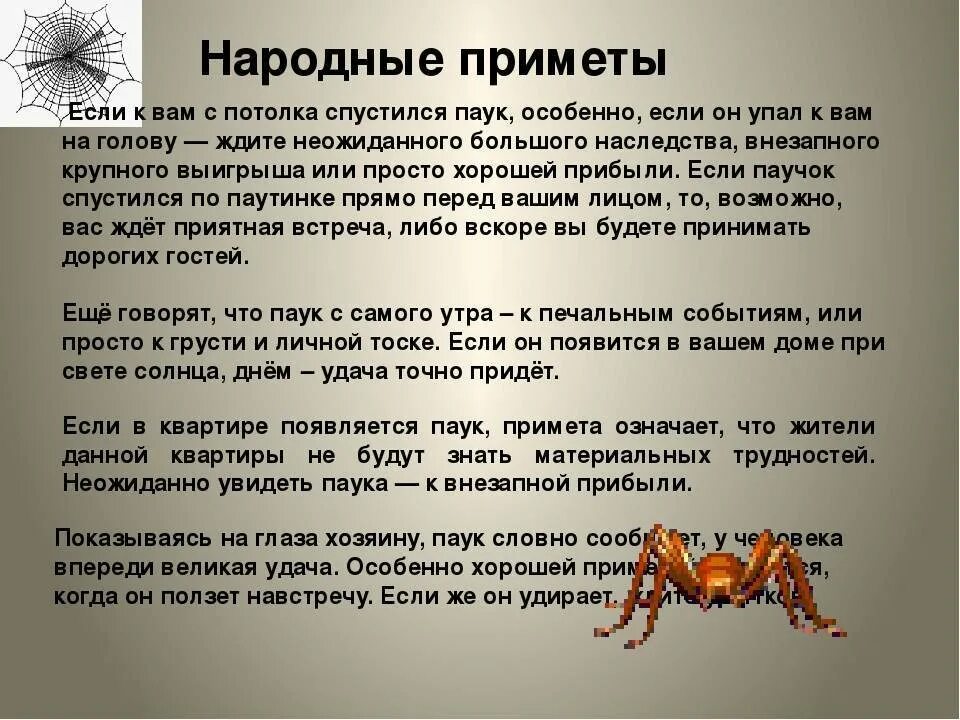 Паук сонник значение. Примета паук спускается. приметы паукообразных. приметы если паук спускается вниз. паучок примета.