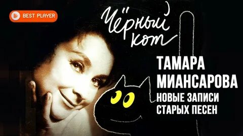 Исполнитель песни черный кот