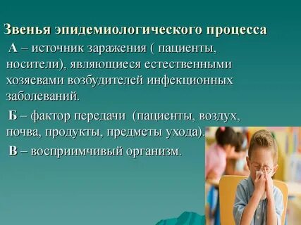 Эпидемиологические звенья