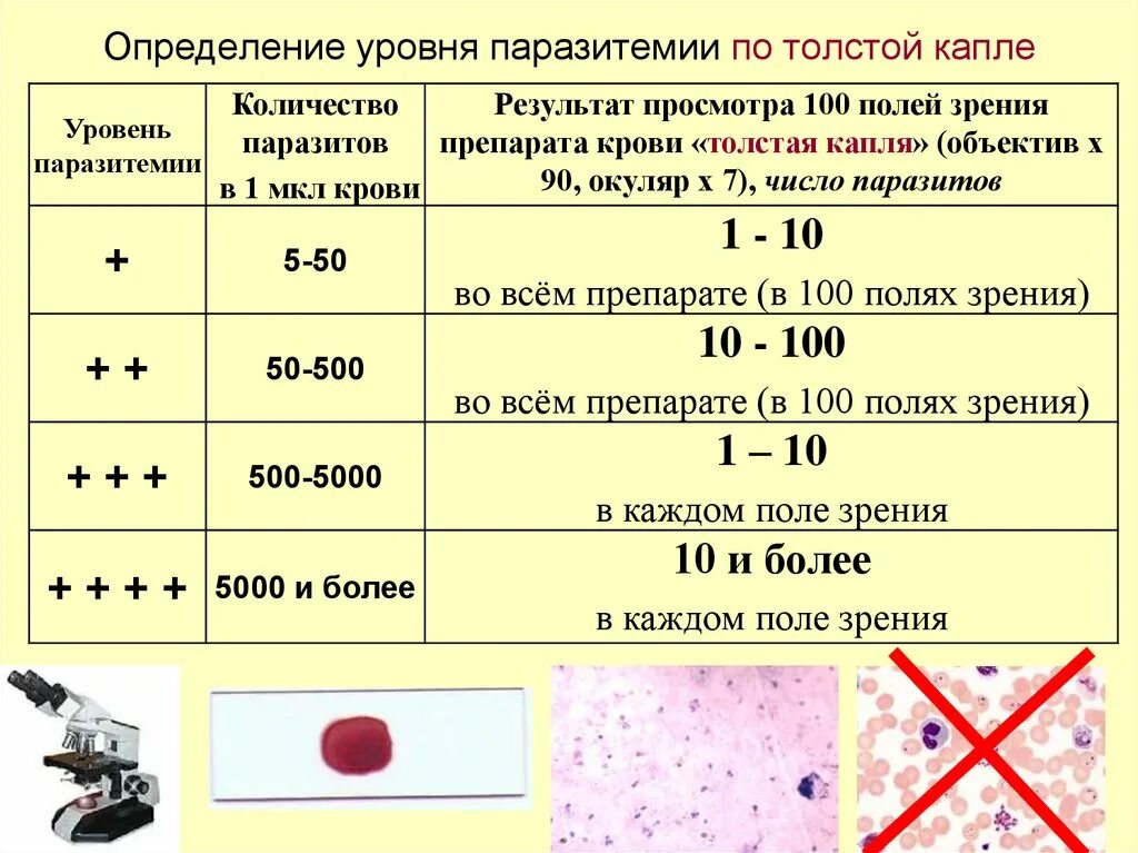 Анализ крови толстая капля. Исследование на малярию. Исследование крови на малярию. Толстая капля крови при малярии.