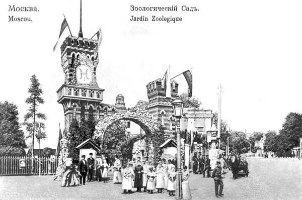 Зоологический сад пробуждается какой. Московский зоологический сад 1864. московский зоопарк 19 век. зоологический сад в москве 19 век. московский зоопарк 1864 года.