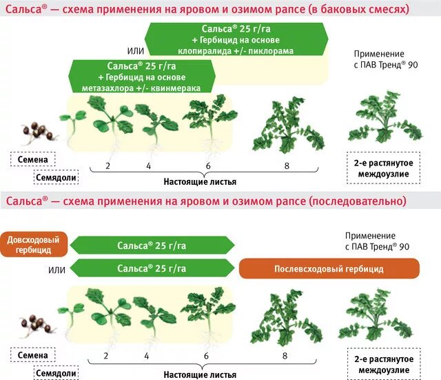 Гербициды по озимым. Схема защиты рапса. Баковая смесь гербицидов. Схема гербицидов. Селективные гербициды.