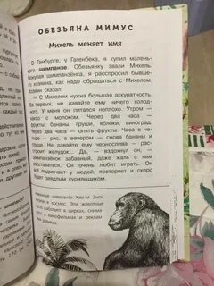 Дурова читательский дневник