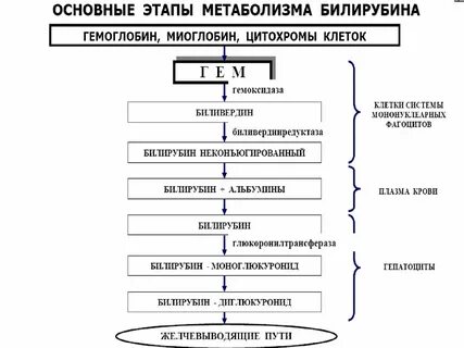 Первым и основным этапом