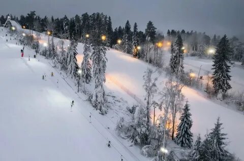 Золдол веб камера