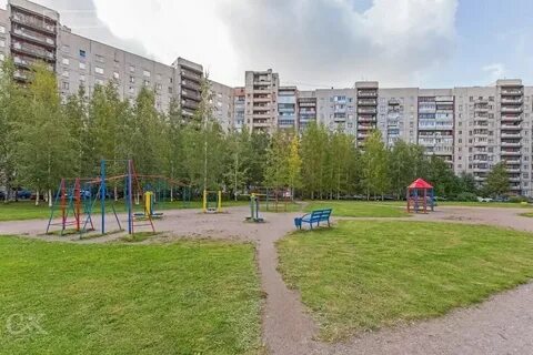 Санкт петербург ул камышовая