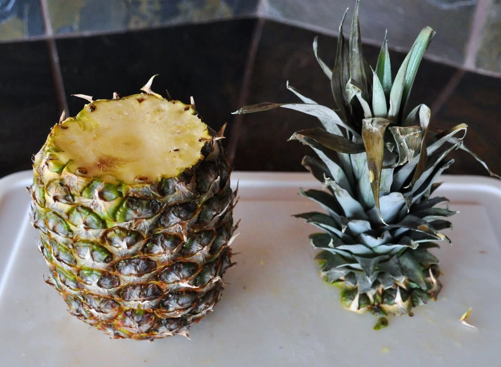 Что нужно сделать чтобы дозрел ананас. Проращивание ананаса. ананас (ananas) срезка. укоренить ананас. дом ананас.