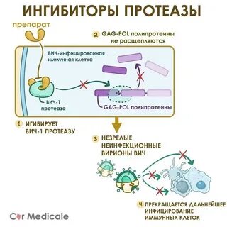 Ингибиторы протеаз