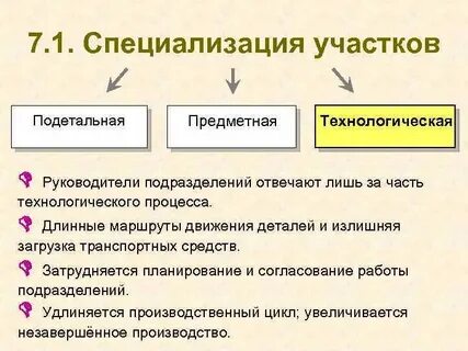 Предметно технологическая специализация