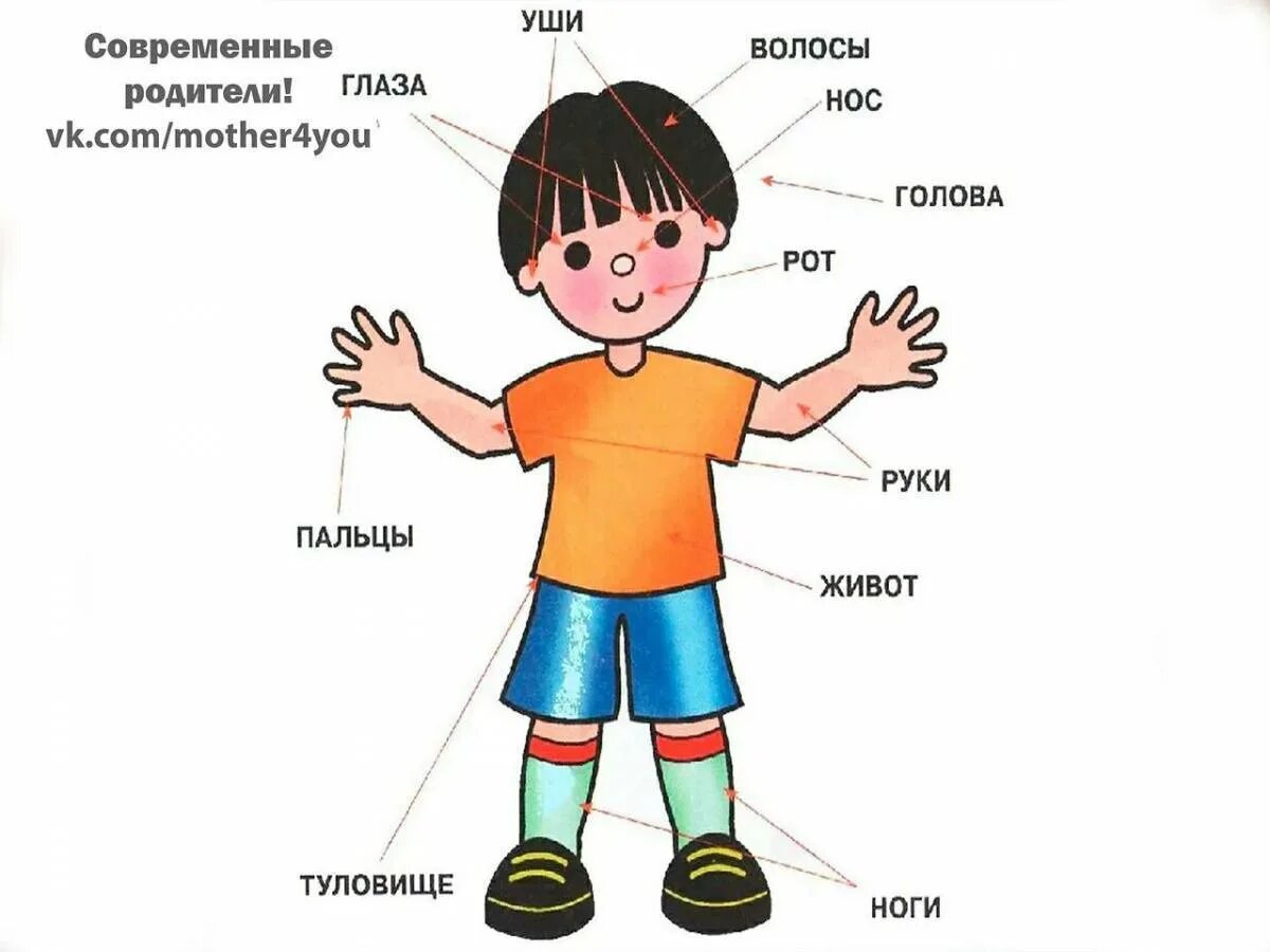 Руки ноги голова начинается игра детская
