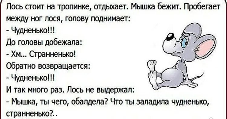 анекдот про лося и волка. добрый лось анекдот. анекдот про вежливого лося добрый вечер. анекдот про добрый вечер. лось добрый вечер.