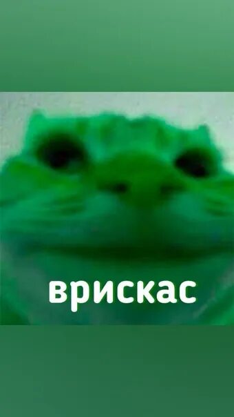 Прискас бискас арты. Картинка врискаса из майнкрафта. Вселенная бискаса. Прискас кот. Бисца и бискас.